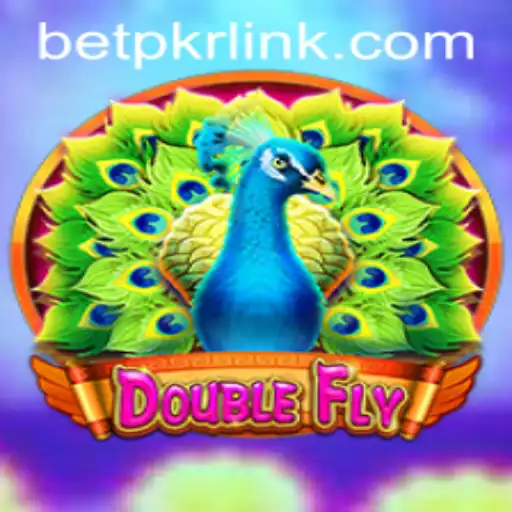 The Thrilling World of DoubleFly: A Deep Dive Into Its Mechanics and Exciting Elements